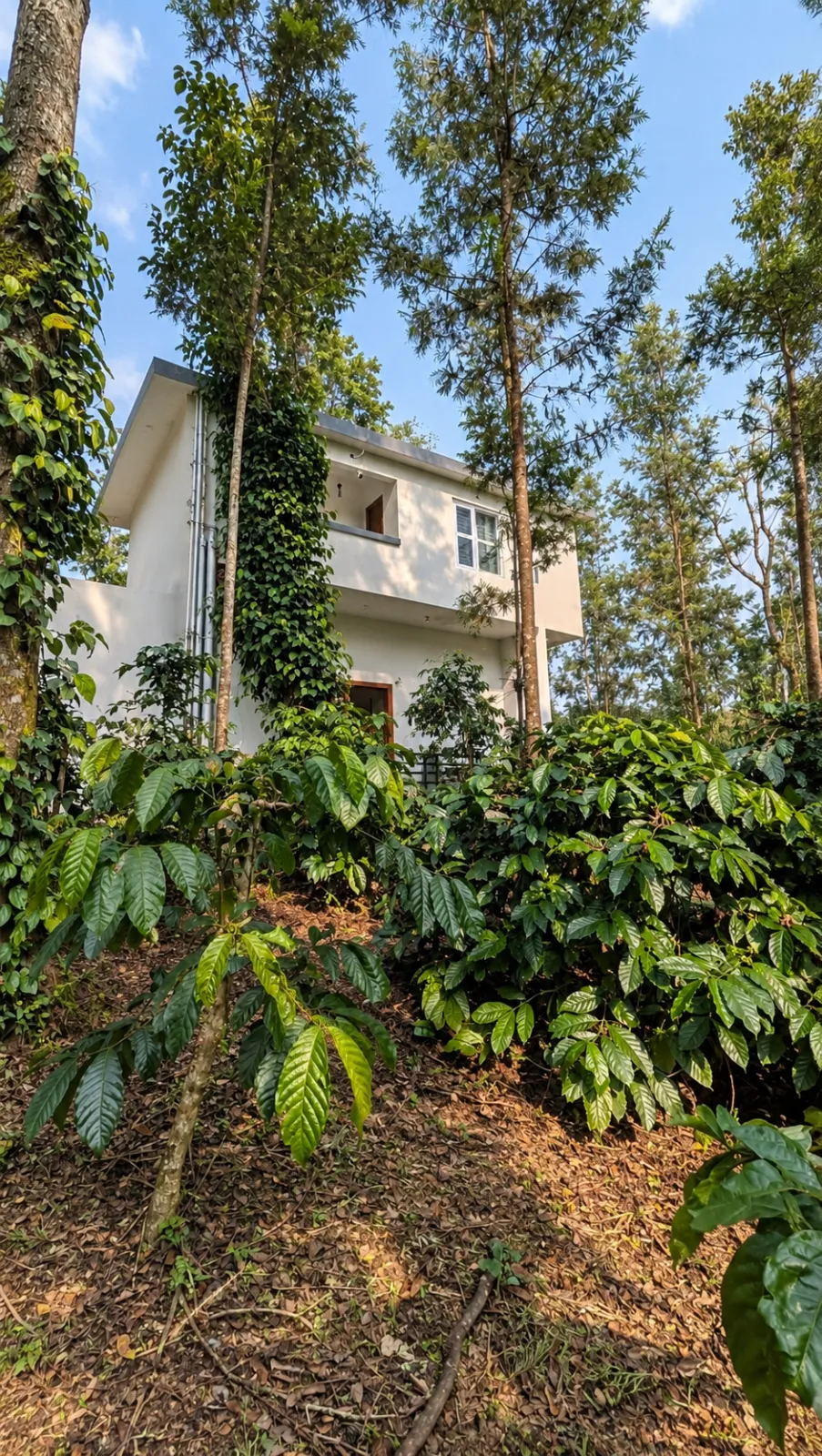 Rainsong Estate